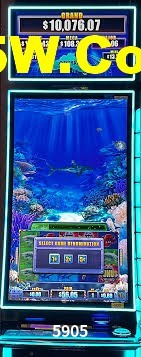 Live Casino 5905